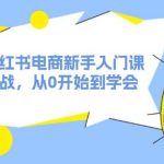 2024小红书电商新手入门课，店群实战，从0开始到学会（31节）