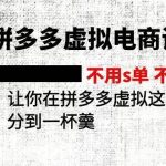 2024拼多多虚拟电商训练营 不s单 不改销量  做虚拟项目分一杯羹(更新10节)