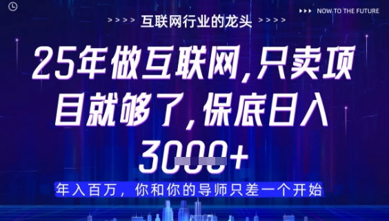 什么!25年你还在找项目做?风口早就变了,卖项目才是稳挣不赔【揭秘】