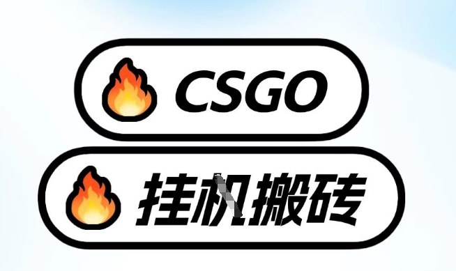 真全网独家CSGO挂G，最新玩法,单日捡漏1K+，不用电脑，不用打游戏【揭秘】