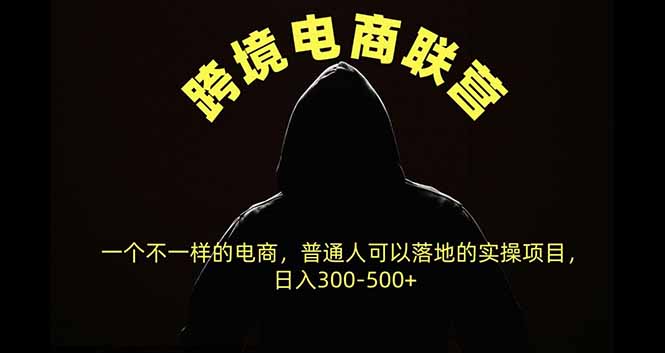 跨境电商联营，一个不一样的电商，普通人可操作日入300-500+