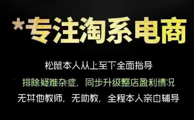 松鼠会电商VIP课程,从基础布局到高阶优化,助你掌握淘宝运营逻辑,提升店铺流量与转化(更新0823)