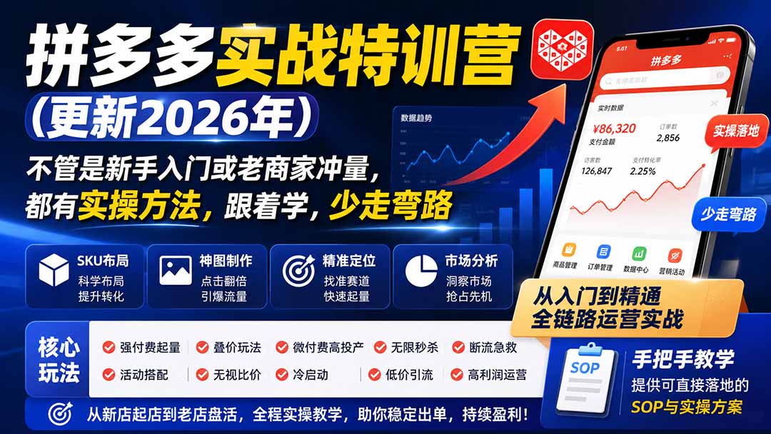 拼多多实战特训营(更新26年0831