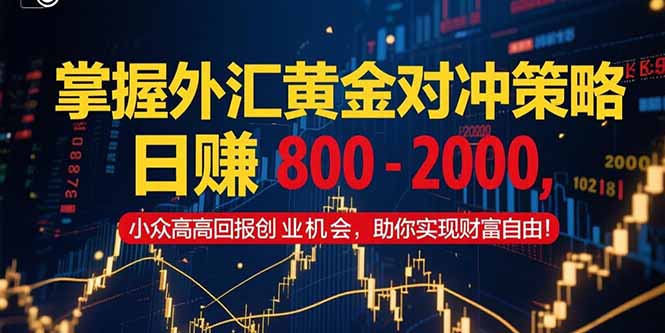 掌握外汇黄金对冲策略，日赚 800 – 2000，小众高回报创业机会，助你实…