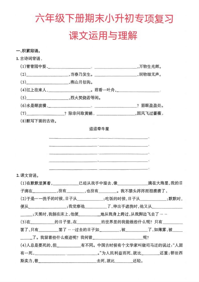 六年级下语文小升初课文运用与理解专项练习